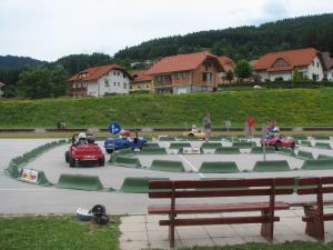 Svet za preventivo in vzgojo v cestnem prometu